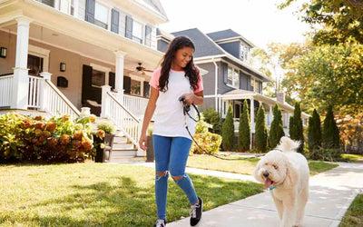Diferencias entre un microchip y un localizador GPS para Perros
