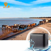 GPS Tracker para vacas, cabras y caballos