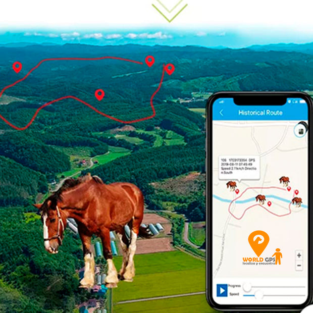 NUEVO GPS TRACKER CABALLOS (ANIMALES GRANDES)